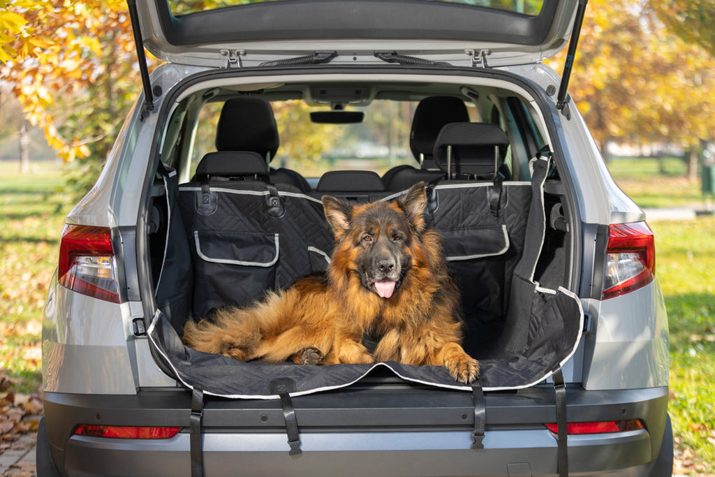 Voyager en voiture avec votre chien avec style et en toute sécurité