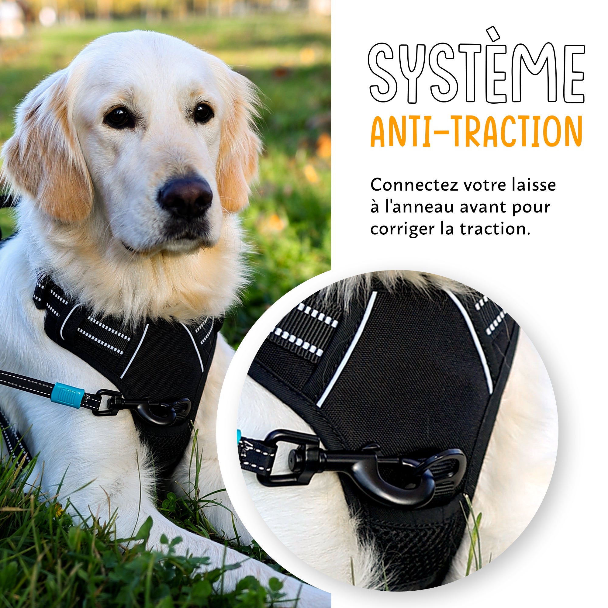 HARNAIS ANTI TRACTION  PAWCONTROL™ – Happy-Chien