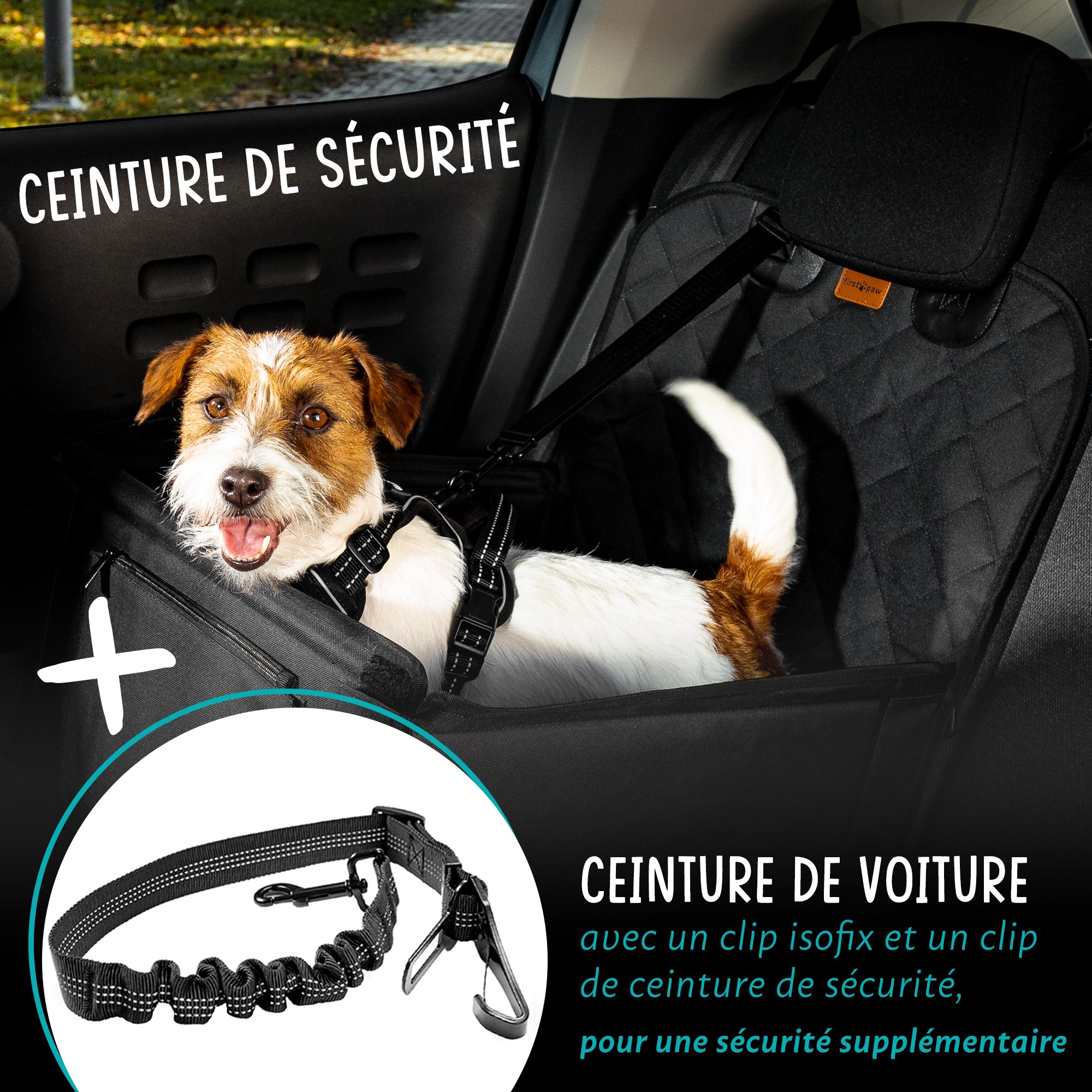Ceinture pour voiture pour la sécurité de votre chien