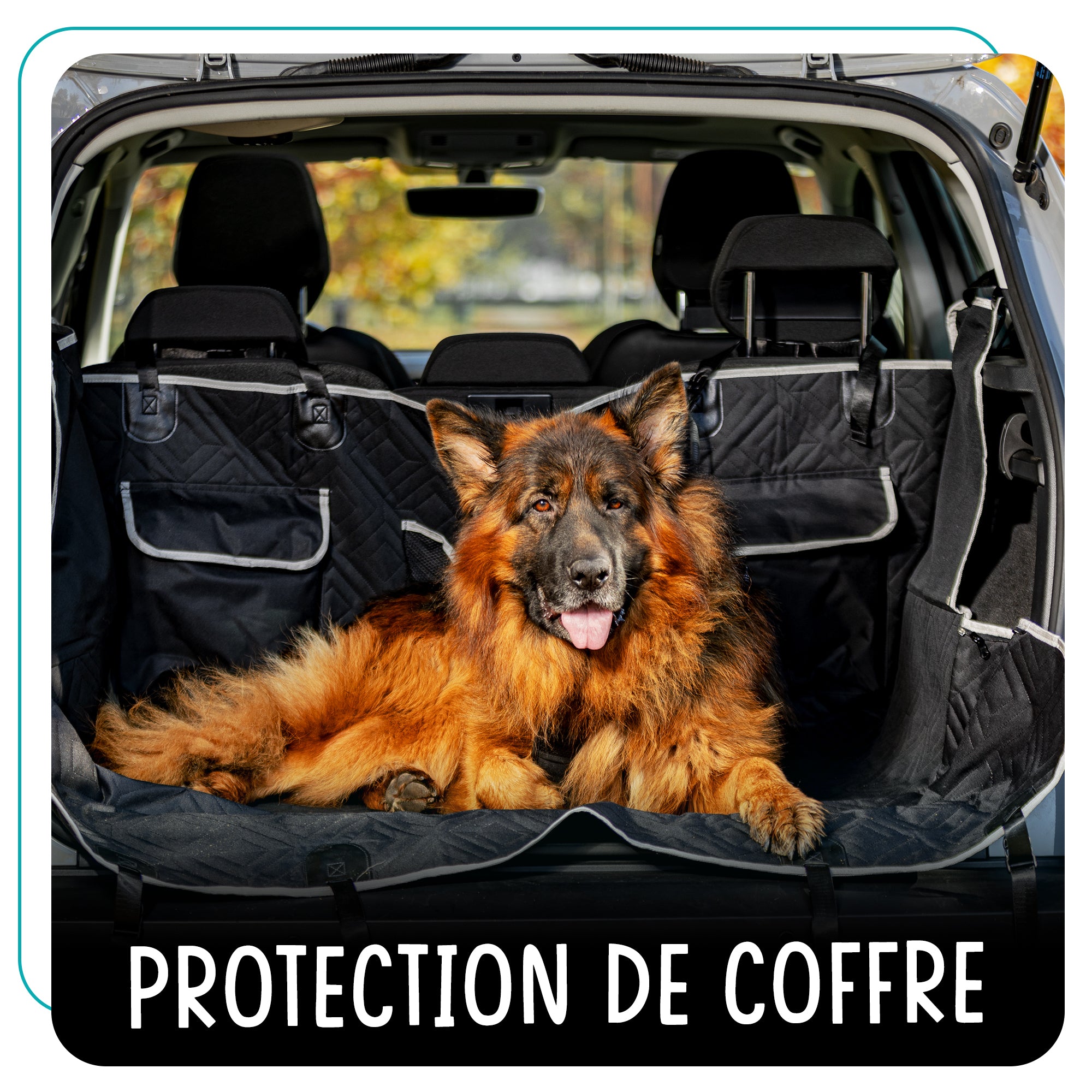 FIRSTPAW Siège auto pour chien de petite à moyenne taille – FirstPawParis